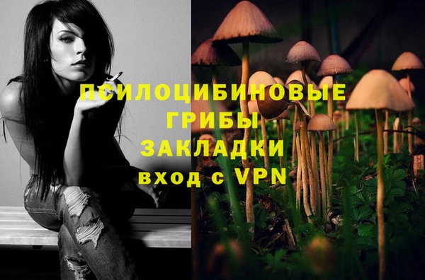 стаф Беломорск