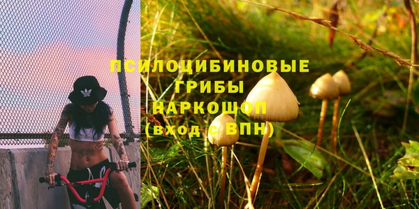 стаф Беломорск
